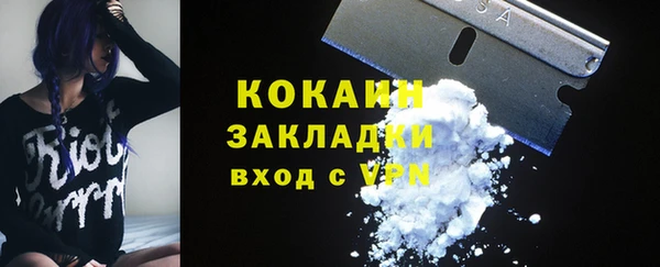 шишки Арсеньев