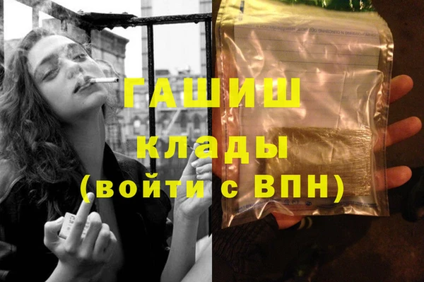 шишки Арсеньев