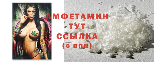 шишки Арсеньев