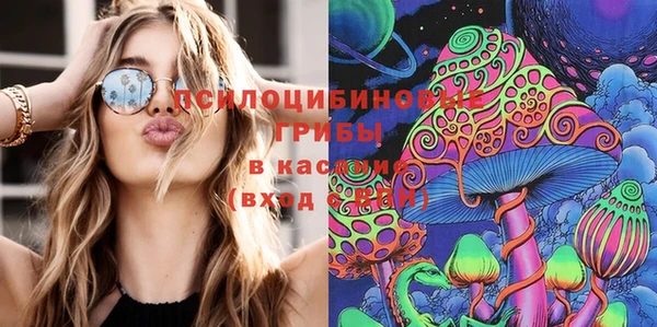 не бодяженный Аркадак