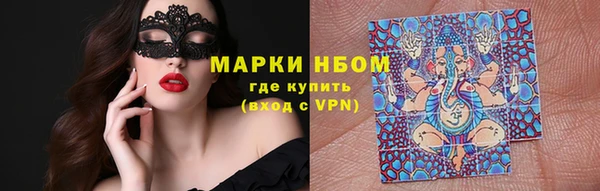 шишки Арсеньев